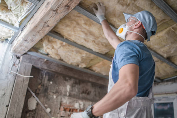 Best Energy Efficiency Insulation in Fortuna, CA